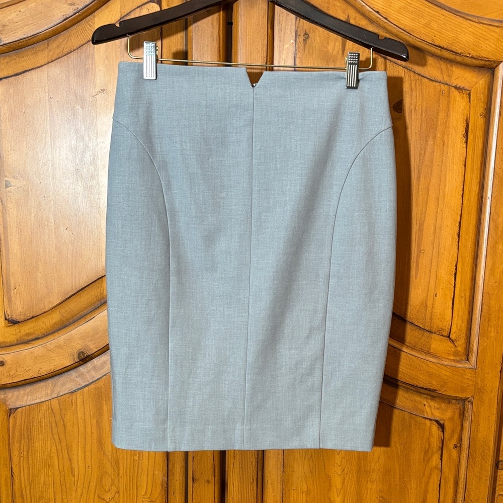 Elegant Express Gray Women's Skirt